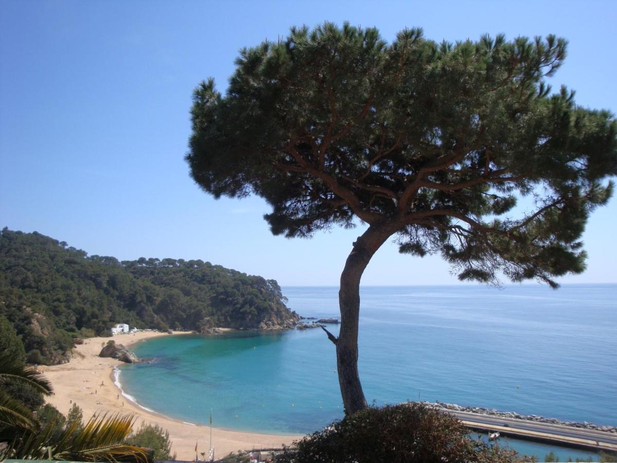 Terry Lloret de Mar